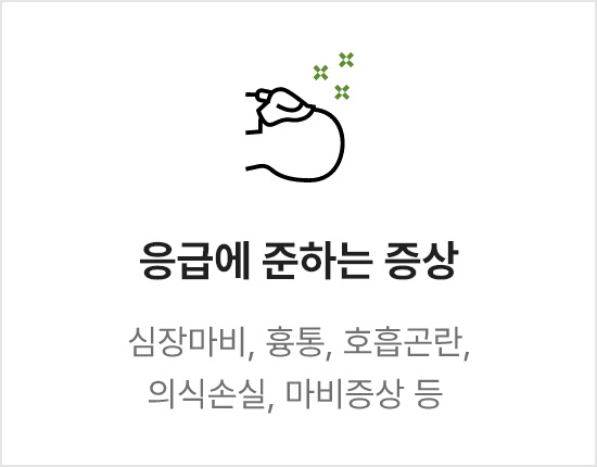 응급에 준하는 증상